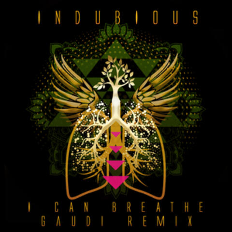 I Can Breathe (Gaudi Remixes)