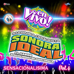 Mix Sensacional Ranchero 8: Idos de la Mente / Renunciación / Ay Amigo