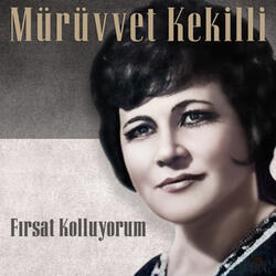 Fırsat Kolluyorum