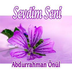 Noldu Bu Gönlüm