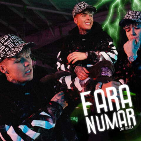 Fara numar
