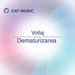 Dematurizarea