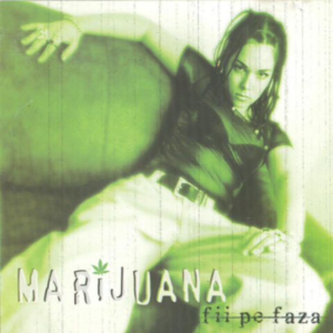 Fii pe faza