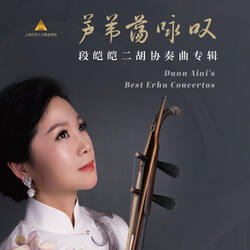 The Promise - Erhu Concerto