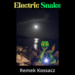Electric Snake