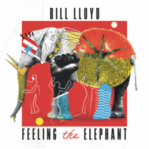 Feeling the Elephant