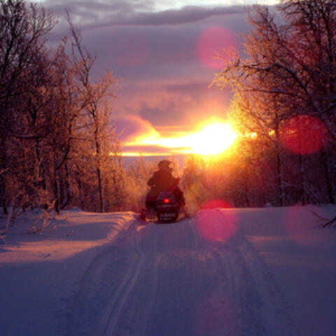 Kelkkasafari