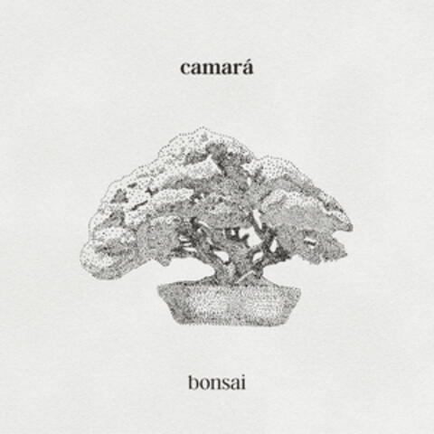 Bonsai