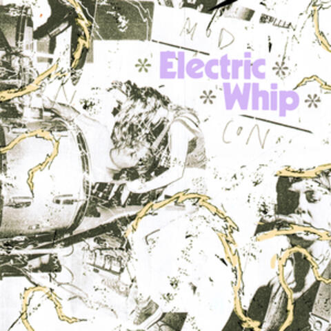 Electric Whip