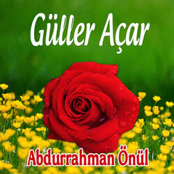 Medineye Gidiyorum