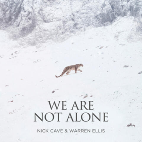 We Are Not Alone (Single from "La Panthère Des Neiges" Original Soundtrack)