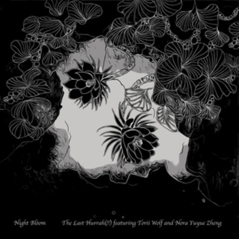 Night Bloom