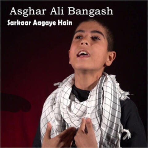 Sarkaar Aagaye Hain