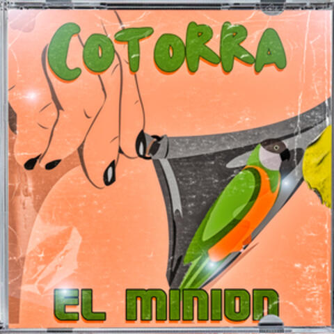 Cotorra