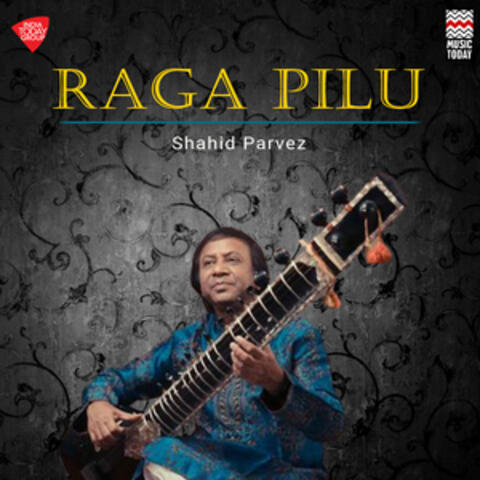 Raga Pilu (Shahid Parvez)