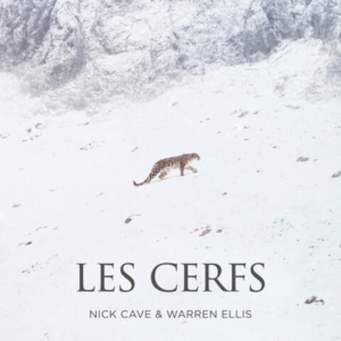 Les Cerfs (Single from "La Panthère Des Neiges" Original Soundtrack)