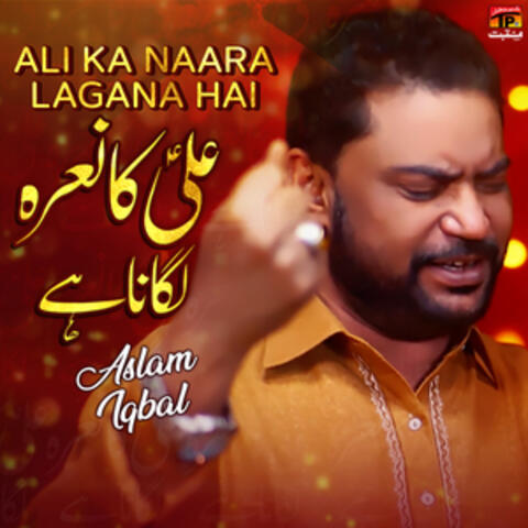 Ali Ka Naara Lagana Hai - Single
