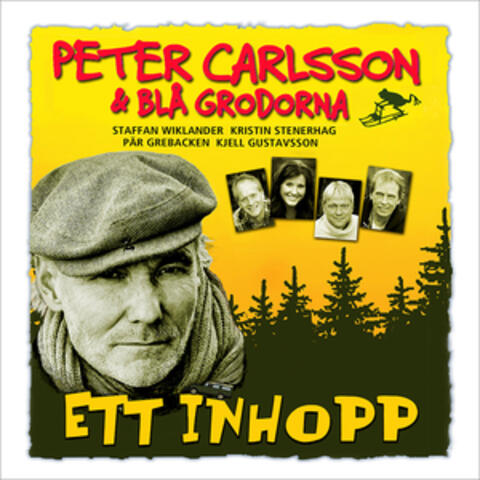 Ett inhopp