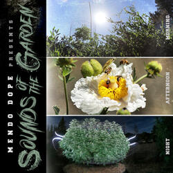 Sounds of the Garden - Afternoon