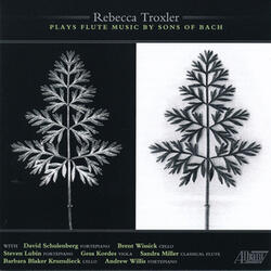 Quartet for Flute, Viola, Cello & Harpsichord in D Major, Wq.94: III. Allegro di Molto
