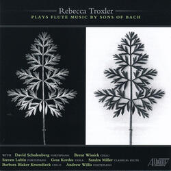 Sonata for Flute Solo in A Minor, Wq.132: III. Allegro