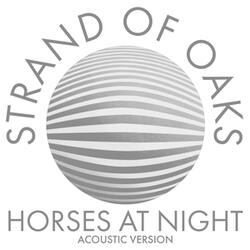Horses at Night