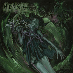 Nocturnal Molestation