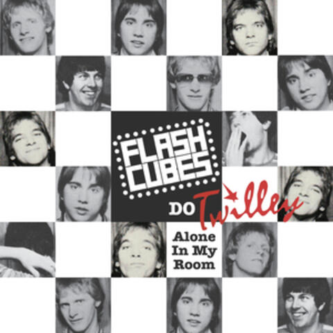 The Flashcubes Do Twilley