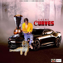 Curves