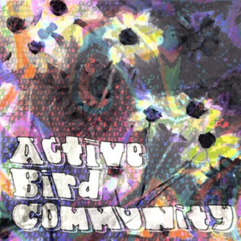 Active Bird Community