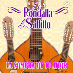 La Sombra de Tu Amor