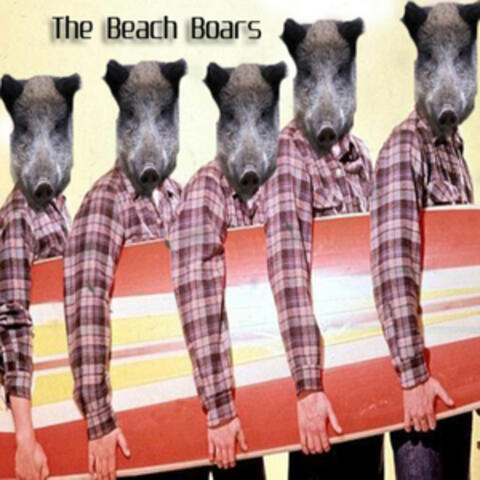 Ballad of a Beach Boys Geek