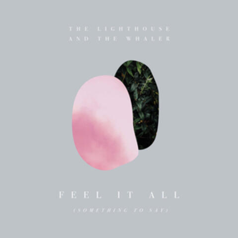 Feel It All (Something to Say)