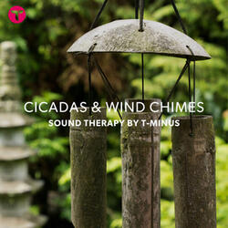 Cicadas & Wind Chimes 14