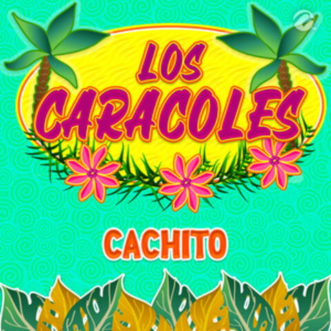 Cachito