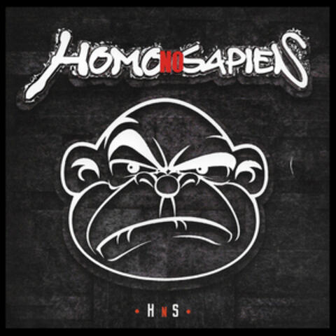 HnS
