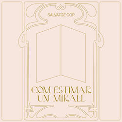 com estimar un mirall