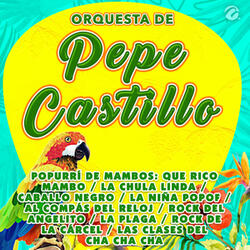 Popurrí de Mambos: Que Rico Mambo / La Chula Linda / Caballo Negro / La Niña Popof / al Compás del Reloj / Rock del Angelito / La Plaga / Rock de la Cárcel / Las Clases del Cha Cha Cha