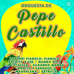 Popurrí Pianolo: Pianolo / Pachito E'che / Mambo No.5 / La Cocaleca / Silbando Mambo / Bonito y Sabroso / Magdalena / Patricia