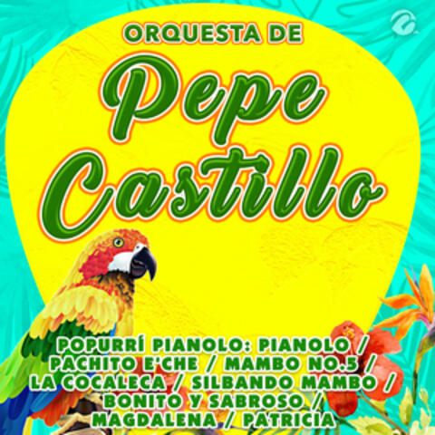 Popurrí Pianolo: Pianolo / Pachito E'che / Mambo No.5 / La Cocaleca / Silbando Mambo / Bonito y Sabroso / Magdalena / Patricia