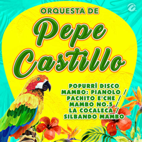 Popurrí Disco Mambo: Pianolo / Pachito E'che / Mambo No.5 / La Cocaleca / Silbando Mambo