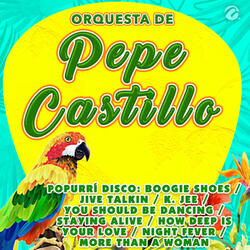 Popurrí Disco: Boogie Shoes / Jive Talkin / K. Jee / You Should Be Dancing / Staying Alive / How Deep is Your Love / Night Fever / More Than a Woman
