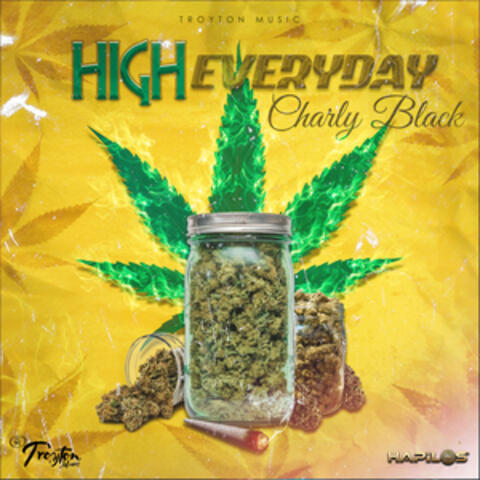 High Everyday
