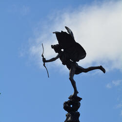 Rakkaus jyrää järjen