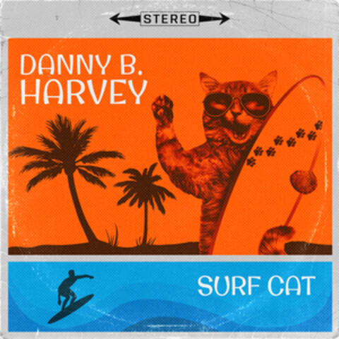 Surf Cat