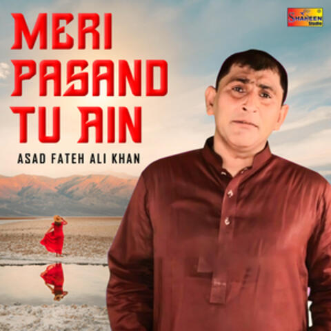 Meri Pasand Tu Ain - Single