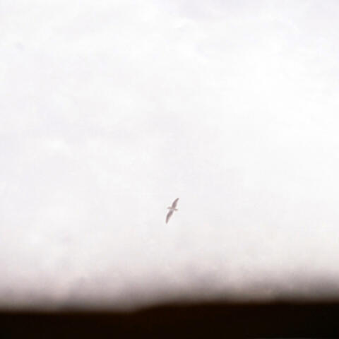 The Ballad of the Ninety-Nines