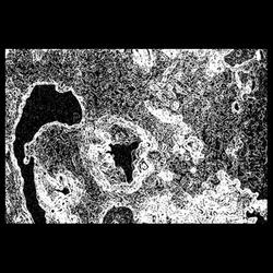 Transient Events I