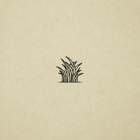 Still (shadow)