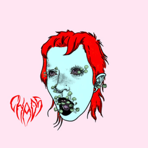 CHAOS